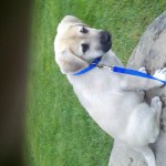 2011-04-22_07-03-53_893