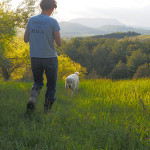 walking-in-the-green-pasture-with-mia