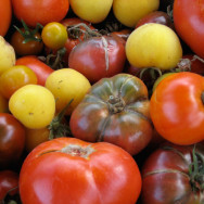 Omnivore’s Delight Farm Share